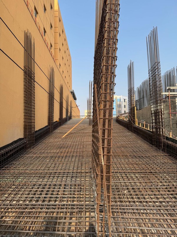 Raft mesh with wall and column starter bars along the boundary